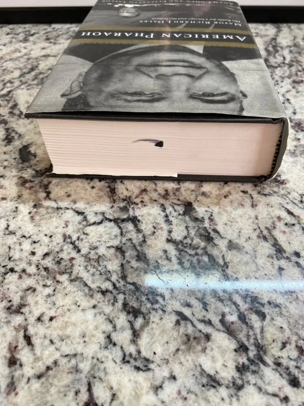 American Pharaoh Richard J Daley Chicago 2000 1st Edition HC DJ Cohen Taylor